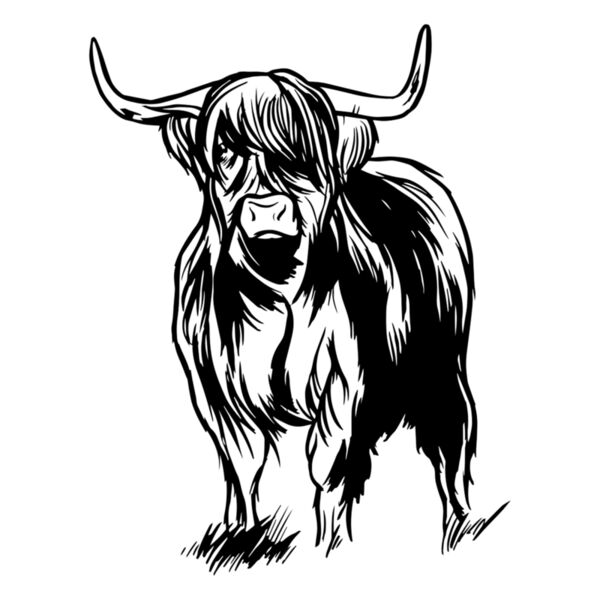 highland cattle graphic Thumbnail
